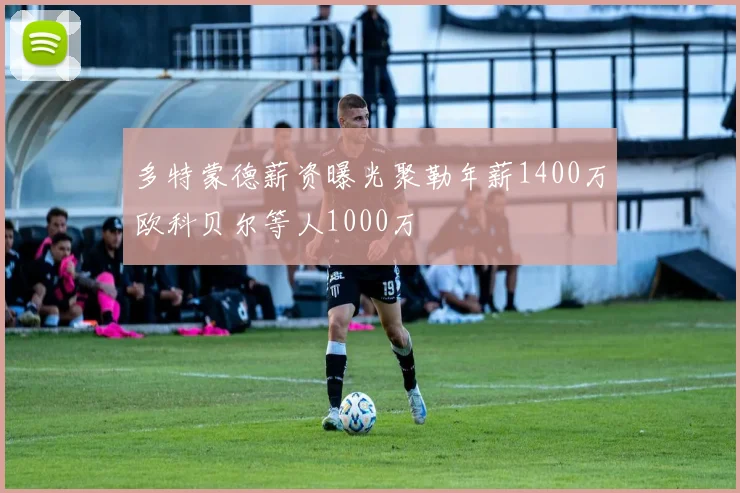 多特蒙德薪资曝光聚勒年薪1400万欧科贝尔等人1000万