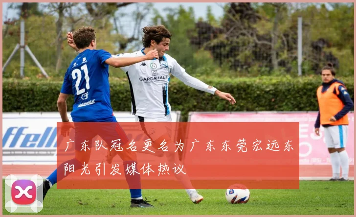 广东队冠名更名为广东东莞宏远东阳光引发媒体热议